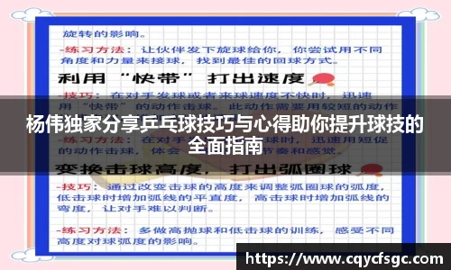 杨伟独家分享乒乓球技巧与心得助你提升球技的全面指南
